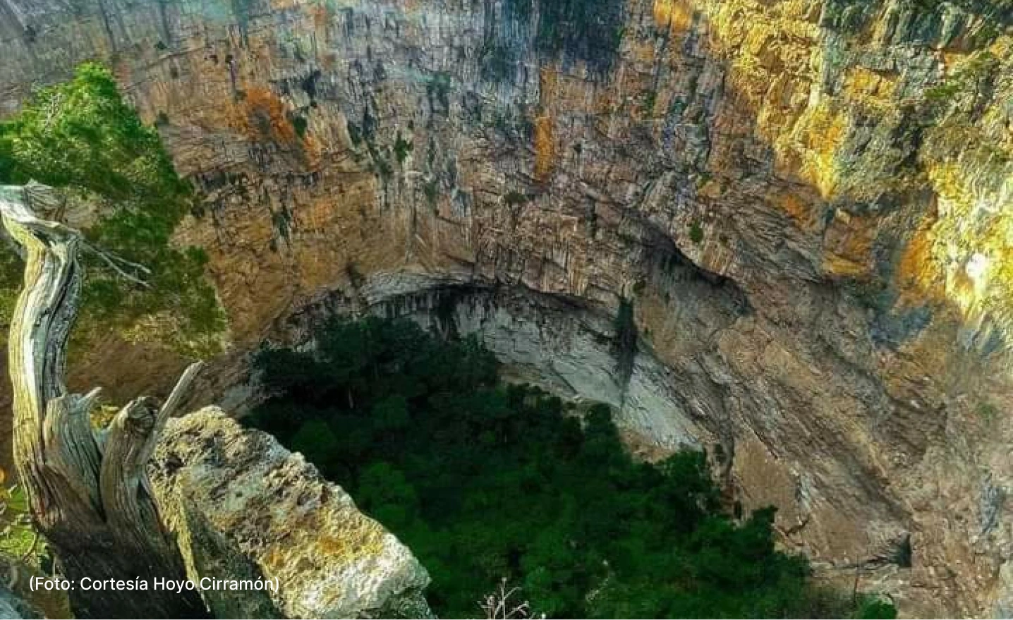 actualidad-vida-cimarron-8-11 (3)