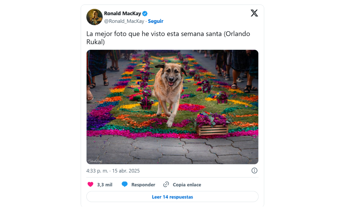 PROPORCION CARROUSEL PÁGINA (5)