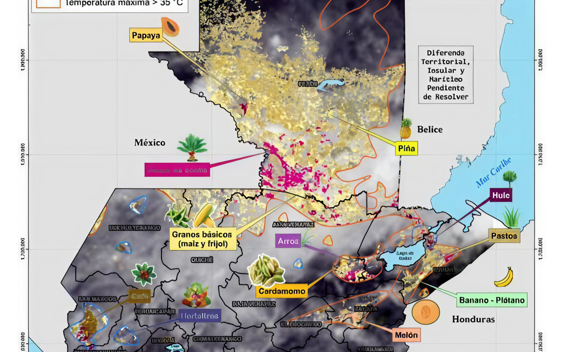 PROPORCION CARROUSEL PÁGINA (45)