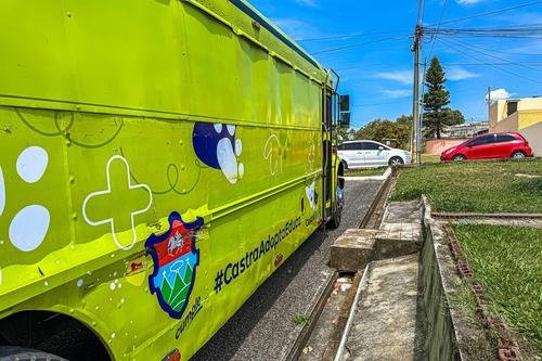 castrabus_guatemala_muni_mascotas