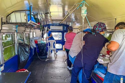 castrabus_guatemala_muni_mascotas_1