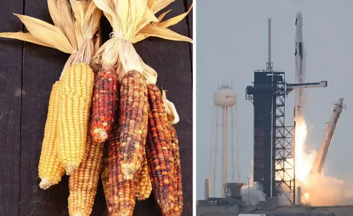 PROPORCION CARROUSEL PÁGINA (100)