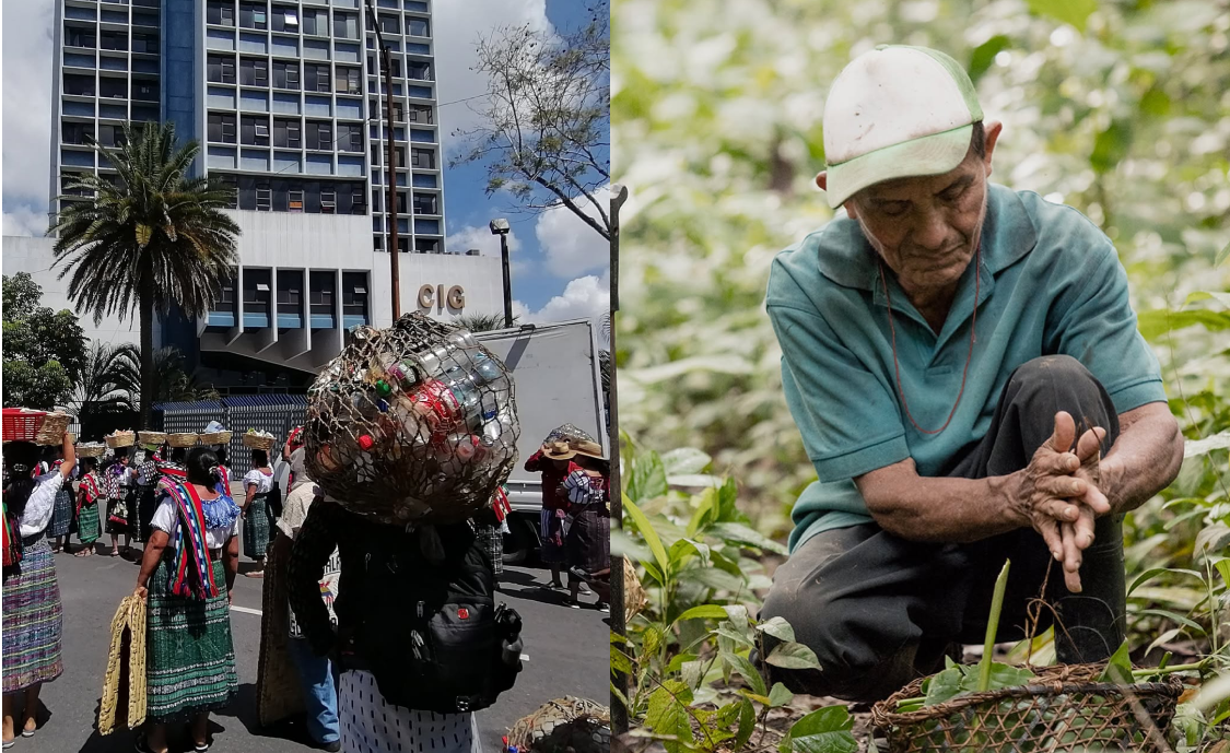 PROPORCION CARROUSEL PÁGINA - 2025-09-01T221658.891