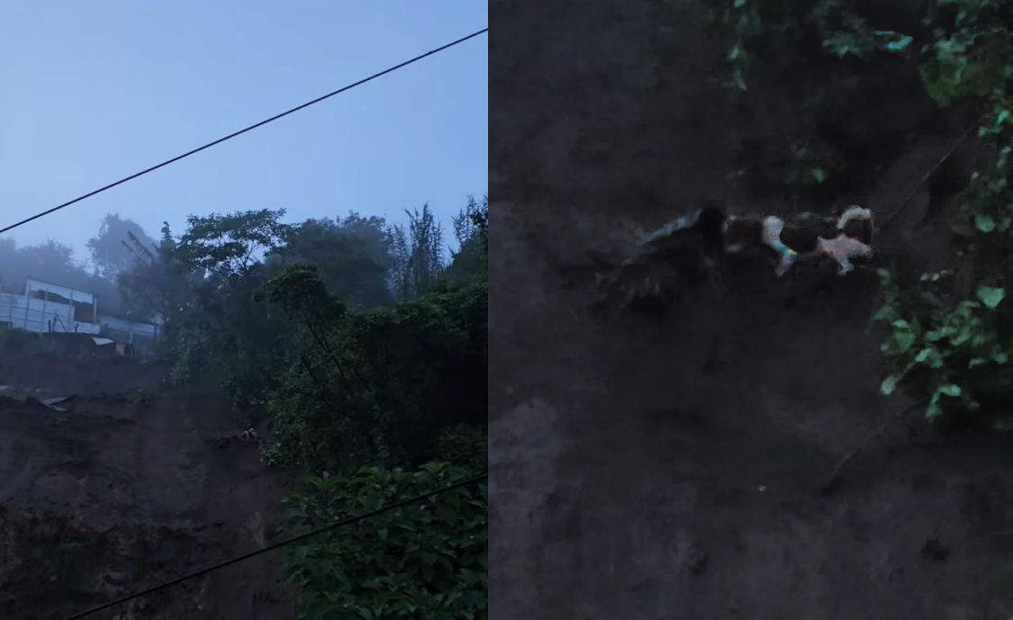 PROPORCION CARROUSEL PÁGINA - 2025-09-23T225134.207