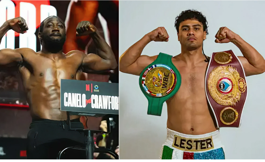 PROPORCION CARROUSEL PÁGINA (14)