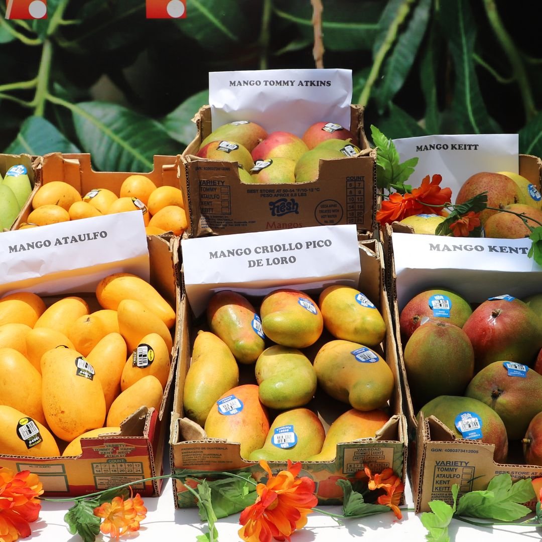 xr:d:DAFo6jhsK9w:175,j:1026117013894111525,t:24031920