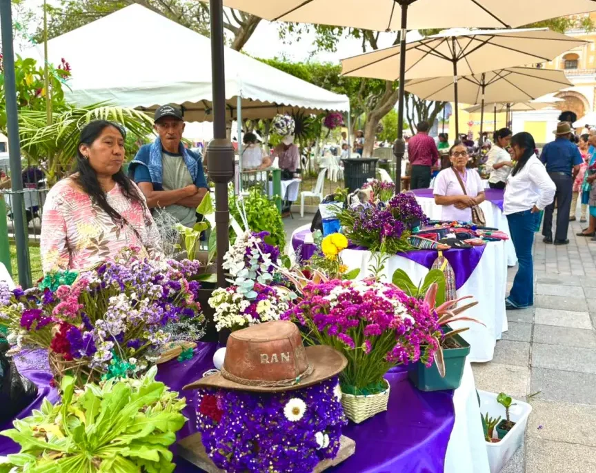 festival-de-la-estaticia-en-san-pedro-las-huertas