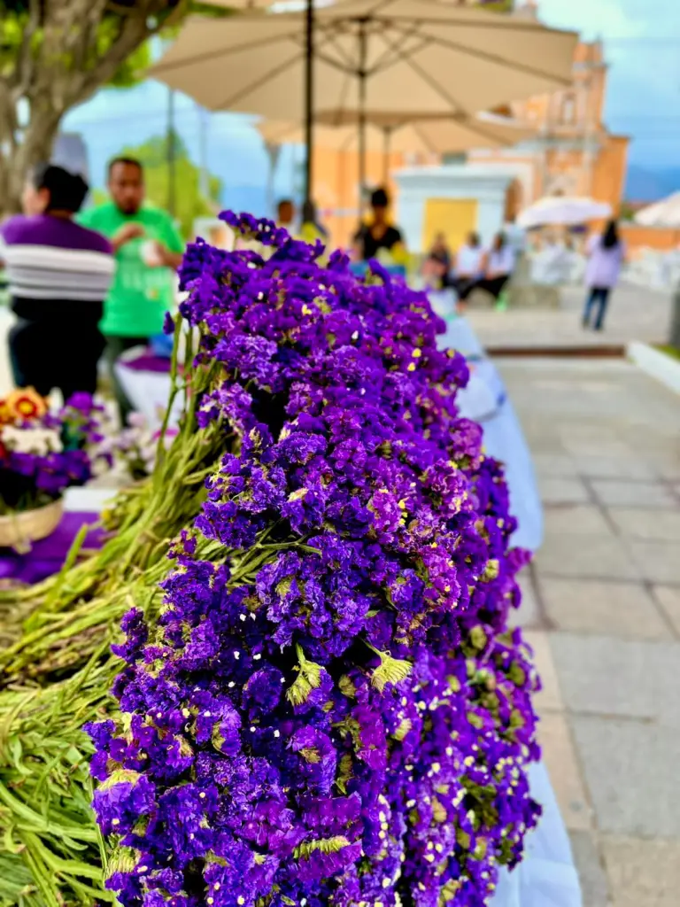 festival-de-la-estaticia